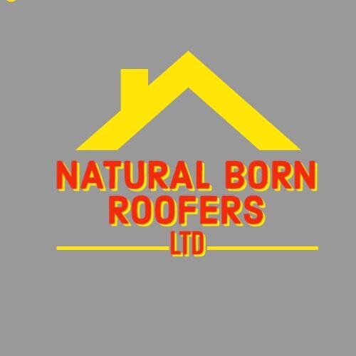 Natural Born Roofers